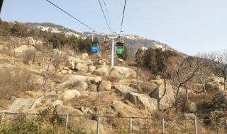 谢姓名字大全 谢姓名字大全